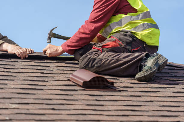 Best Roof Replacement Cost  in Dundee, MI