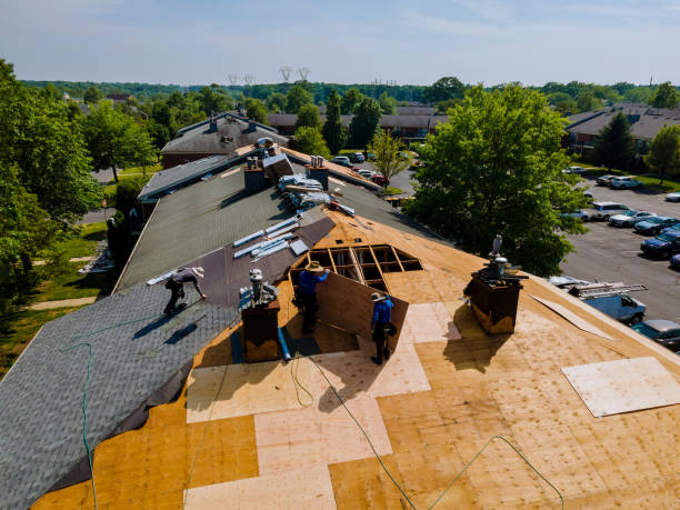 Best Roof Repair Services  in Dundee, MI