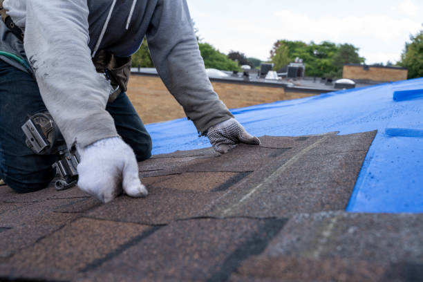Best Roof Repair Specialists  in Dundee, MI