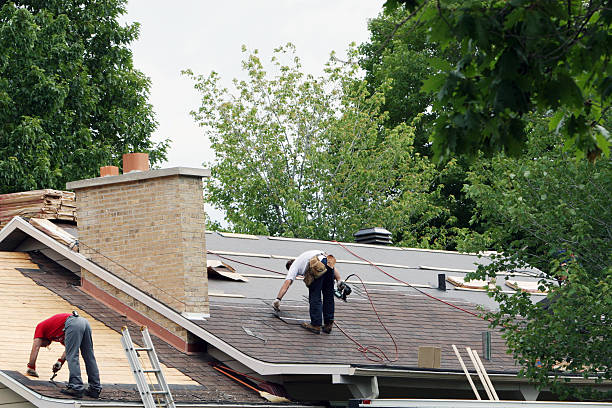 Best Roof Gutter Cleaning  in Dundee, MI