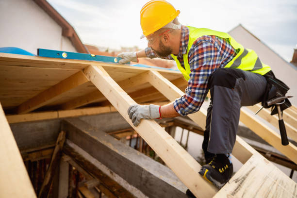 Best Roof Restoration Services  in Dundee, MI