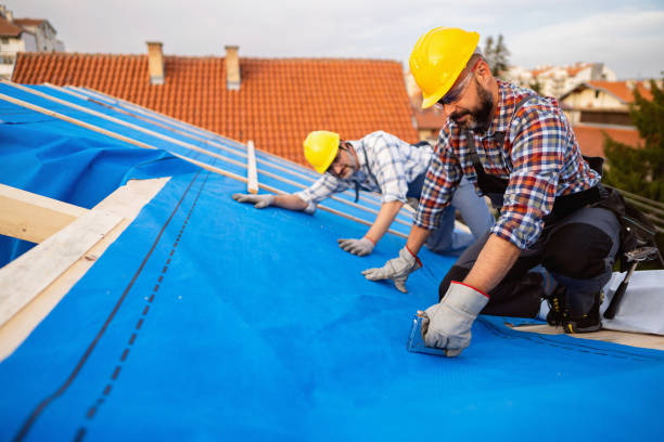 Best Commercial Roofing Services  in Dundee, MI
