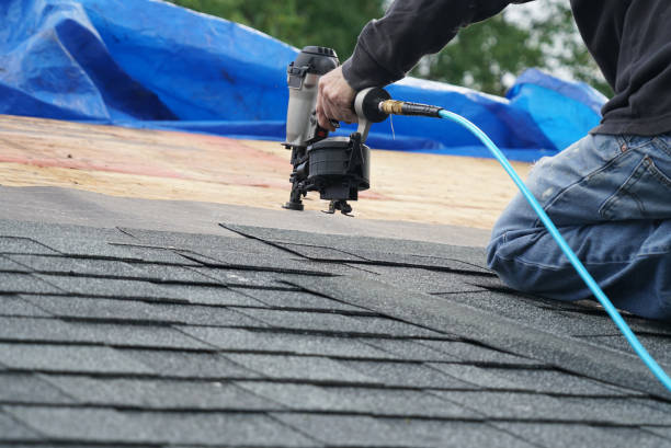 Best Flat Roof Repair Services  in Dundee, MI
