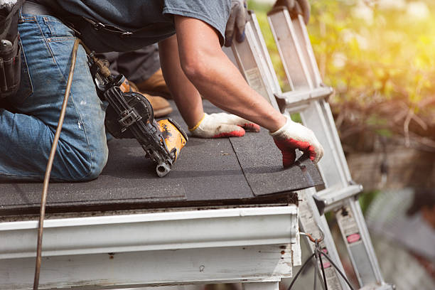 Best Emergency Roof Repair  in Dundee, MI