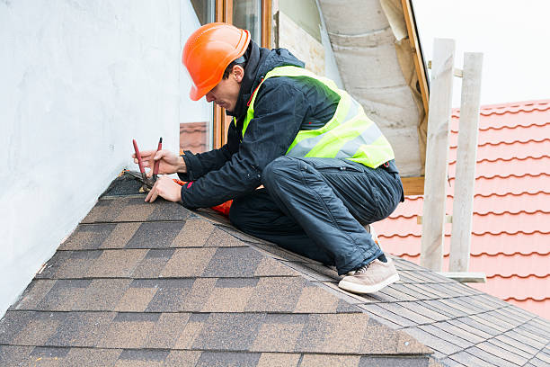 Best Roof Repair Services  in Dundee, MI