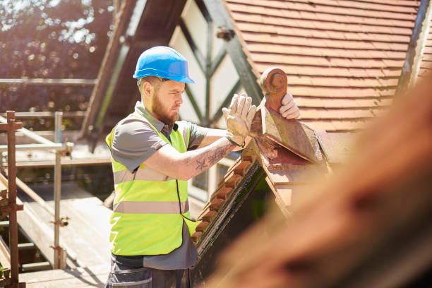 Best Best Roofing Contractors  in Dundee, MI