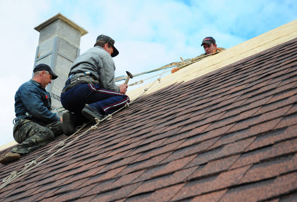 Best Affordable Roofing Company  in Dundee, MI